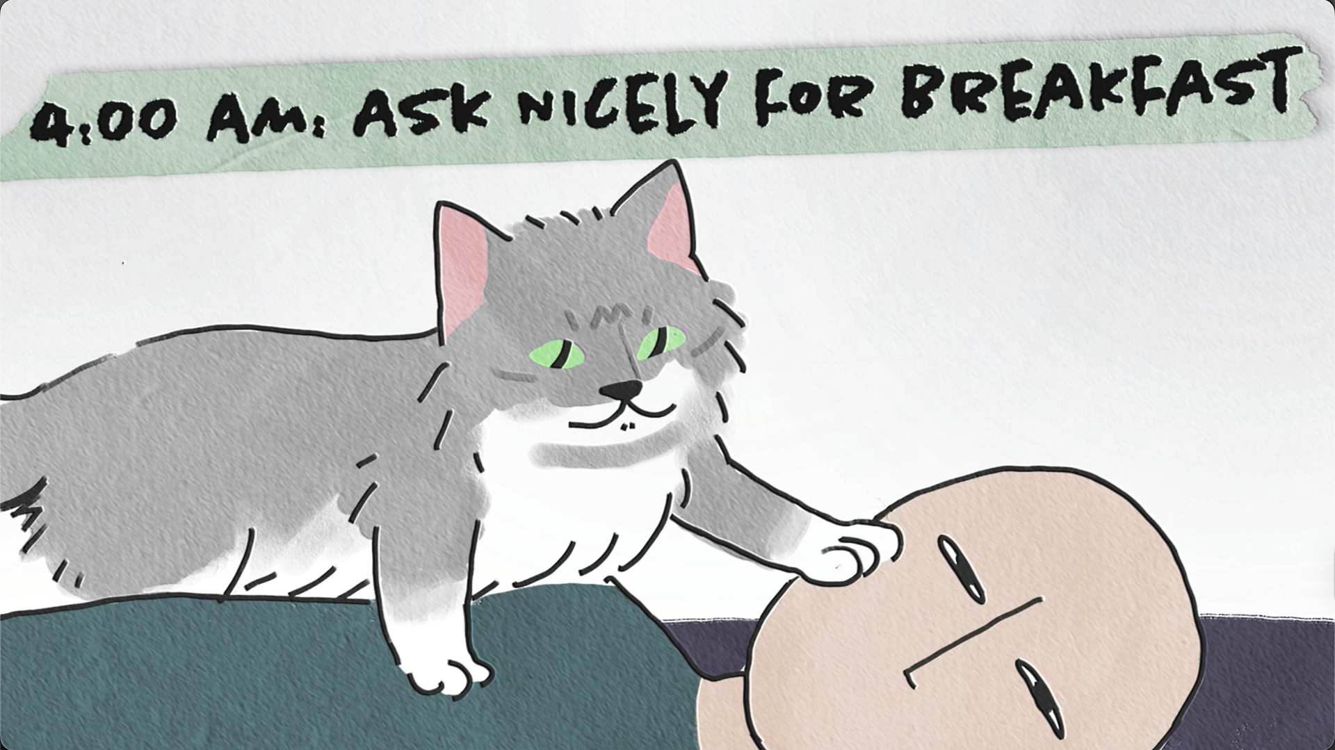 Daily Itinerary (2024)